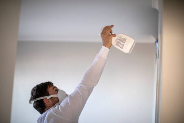 Best Crawl Space Mold Removal  in Surgoinsville, TN
